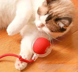 Interactive, Smart, Automatic Pet Toy Ball with Long Tail