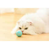 Smart Self-Moving Cat Toy Ball