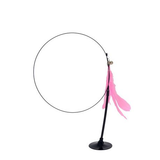 Long, Steel Wire, Cat Teaser Stick, Bite Resistant Pet Cat Toy